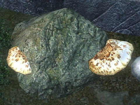 dryadsaddle.jpg