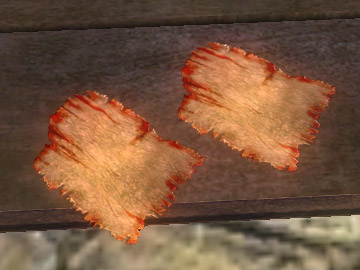 scampskin.jpg