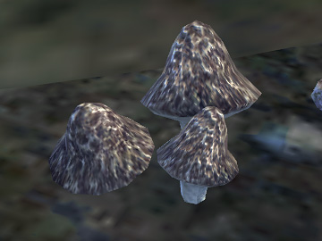 blister_pod.jpg