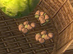 ironwoodnuts.jpg