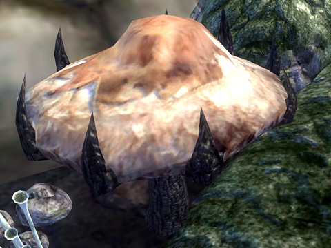 mashroom_tree_sapling.jpg