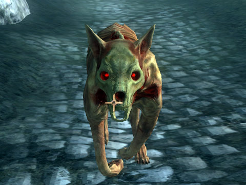 skinnedhound.jpg